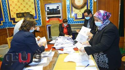 بعد فرز 10 لجان.. تباين نتائج أحمد طنطاوي والقطان وراجح بانتخابات النواب بكفر الشيخ