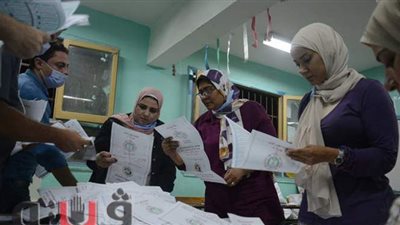 الحصر العددي للجنة الفرعية رقم ١٦٧ بطنطا