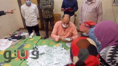 الحصر العددي لنتائج 6 لجان انتخابية لمجلس النواب في منيا القمح