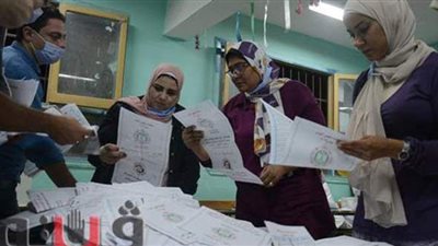 الحصر العددي لنتائج 4 لجان انتخابية لمجلس النواب في أبو حماد