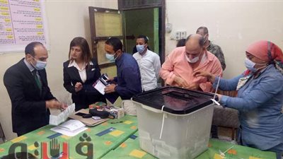 بعد فرز 15 لجنة بكفر الشيخ.. تقارب بين المرشحين الطنطاوي والقطان وحجازي