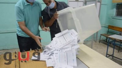 الحصر العددي لأصوات اللجنة الفرعية 80 بشبرا الخيمة