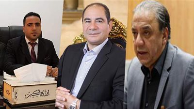 اللجنة العامة تعلن الحصر العددي بدائرة أجا: إعادة بين أنيس وصالح والجبلي والفقي