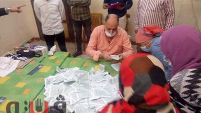 الحصر العددي لدائرة شبين القناطر بالقليوبية