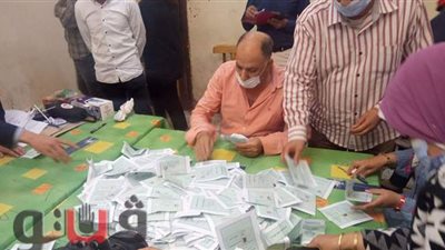 بالأسماء.. اللجنة العامة بدائرة طلخا تعلن خوض 4 منافسين لجولة الإعادة