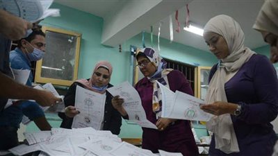 مؤشرات أولية.. البيان الإحصائي للجنة العامة للدوائر الأولى والثانية والثالثة بكفر الشيخ