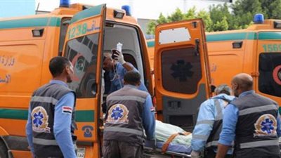 الاستعلام عن الحالة الصحية لشقيقتين  اصطدمت بهما سيارة بحدائق الأهرام