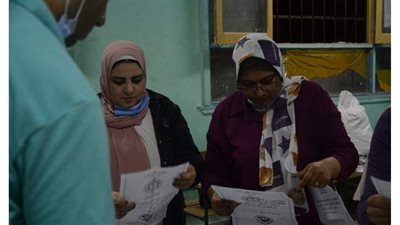 الحصر العددي لدوائر كفر الشيخ.. الطنطاوي يحصد 44 ألف صوت وحجازي 34 ألف بالدائرة الأولى.. وعبد العليم داوود 54 ألف صوت بمطوبس