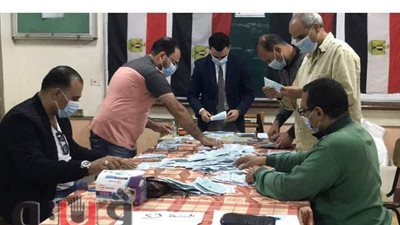 لحظة الفرز بلجان المنصورة | فيديو وصور