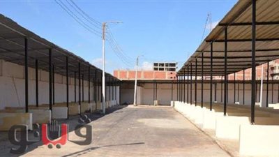 خط سرفيس وكاميرات مراقبة.. انتهاء تأهيل سوق ترعة البوصة ببني سويف | صور