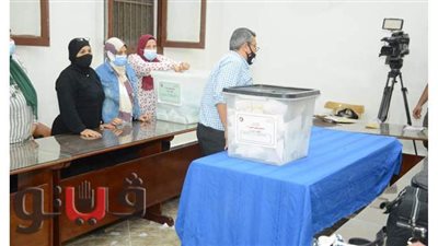 بدء عمليات فرز الأصوات بلجان الإسماعيلية | صور