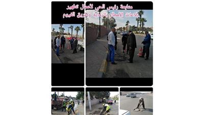 تطهير أعمال بلاعات الأمطار ورفع الإشغالات بفيصل والهرم | صور