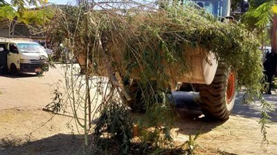 تغيير 20 كشاف ورفع 6 أطنان قمامة من شوارع البياضية بالأقصر