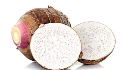 القلقاس أفضل الخضراوات شتوية لصحة كل أجهزة جسمك