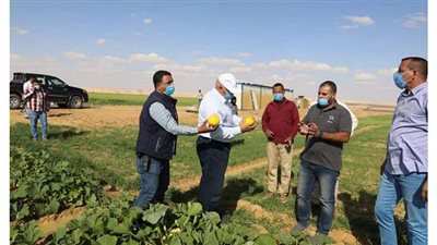 محافظ الوادي الجديد يتفقد إحدى مشروعات الاستثمار على مساحة 22  ألف فدان