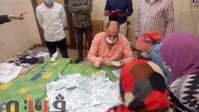 اليوم.. نظر ٩ طعون على نتائج المرحلة الأولى بانتخابات مجلس النواب