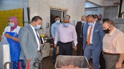 غلق مراكز طبية ومصنع لانشون ومحلات تجارية ببني سويف | صور