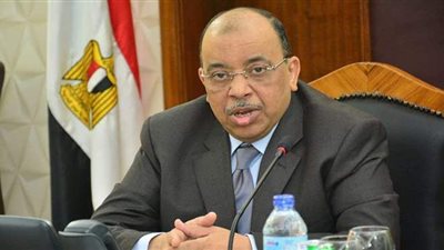 وزير التنمية المحلية يبحث مع برنامج الأمم المتحدة الإنمائي مجالات التعاون المشتركة