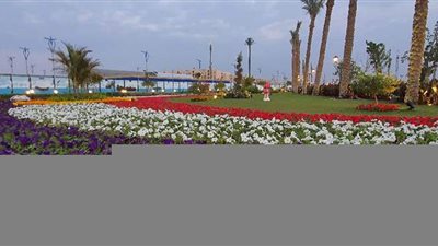 بورسعيد تستعد لافتتاح الحديقة الدولية بحي الضواحي | صور