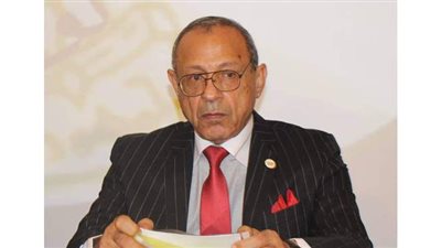 رؤؤف السيد: التصويت العقابى تعبير عن الاعتراض الهادئ