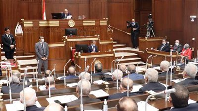 المركز العربي للدراسات الاستراتيجية يستعرض أعمال مجلس الشيوخ | فيديو