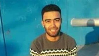 شاهد .. لحظة مصرع فني كهرباء على عامود إنارة بطلخا في الدقهلية