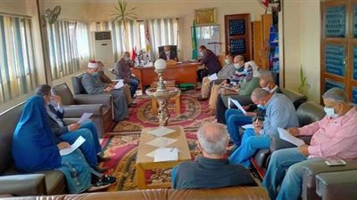 رئيس جمصة: حملات مكثفة على الكلاب الضالة والمسعورة