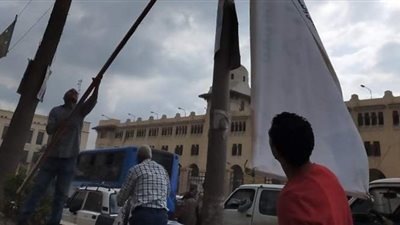 رغم الإعادة بجميع دوائرها.. حملات بالغربية لإزالة الدعاية الانتخابية من الشوارع | صور