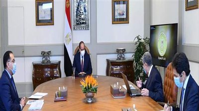 بينها خطة لربط أفريقيا بأكملها.. تفاصيل مشروعات الربط الكهربائي مع دول الجوار