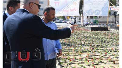 محافظ قنا يتابع أعمال التطوير والتجميل | صور