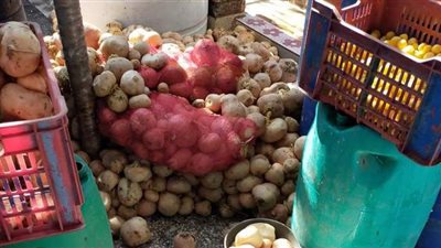 ضبط 5 أطنان مخللات غير صالحة للاستهلاك الآدمي داخل مصنع غير مرخص بالشرقية | صور