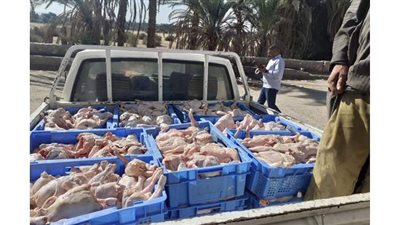 ضبط 11 طن لحوم ودواجن غير صالحة للاستهلاك الآدمي داخل مصنع بأسيوط