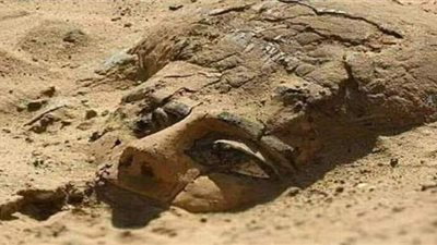 صحيفة إيطالية تشيد باكتشافات مصر الأثرية