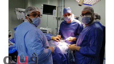 مريضة تعود للحركة والكلام بعد استئصال ورم بالمخ بمستشفيات جامعة المنوفية