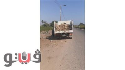 رفع 8 أطنان قمامة من النمسا بالأقصر | صور