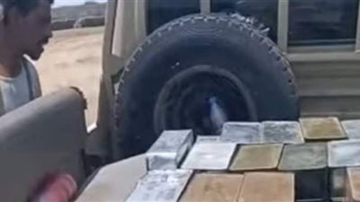 التعاون الإسلامي تدين إصرار مليشيات الحوثي على تكرار جرائمها ضد السعودية