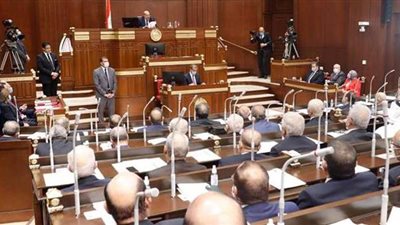 مجلس الشيوخ يناقش مشروع لائحته الداخلية في جلسة العامة المقبلة