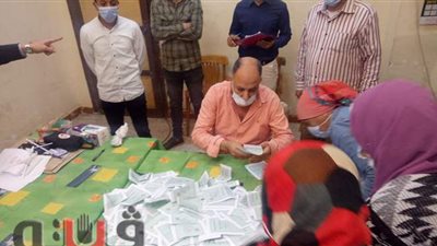 اليوم.. نظر طعن قائمة أبناء مصر على نتيجة انتخابات مجلس النواب