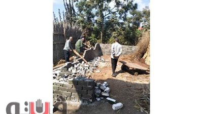 إزالة فورية لـ 12 حالة تعد على مساحة 825 م2 بالمنوفية