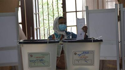 الإدارية العليا تنظر طعن وقف إعلان النتيجة بإحدي دوائر الفيوم