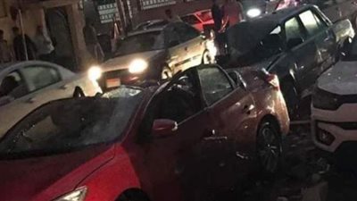 سقوط نخلة أمام طب المنصورة.. وشلل مروري  بسبب الطقس السيئ