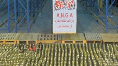 الصور الأولى لإحباط تهريب أكبر شحنة أقراص كبتاجون المخدرة بميناء دمياط البحري