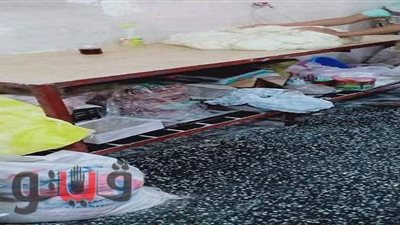 إعدام أغذية فاسدة خلال حملة قادها محافظ الشرقية في منيا القمح.. صور