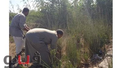 حملة مكبرة للنظافة والتجميل وزراعة الأشجار  بأبوقرقاص