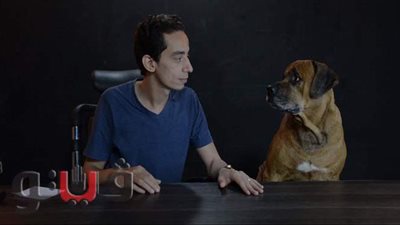 لتجنب «العض» و«العصبية» و«الاكتئاب».. «إزاي تدلع كلبك» | فيديو