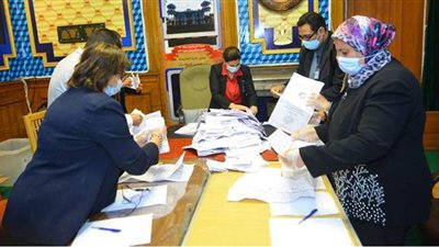 الإدارية العليا تنظر اليوم ٣٨ طعنًا على نتائج المرحلة الثانية بانتخابات النواب