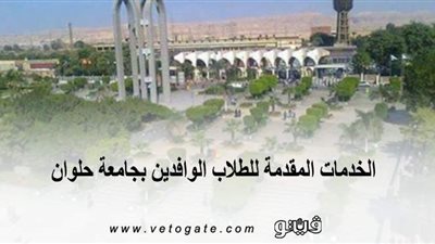 الخدمات المقدمة للطلاب الوافدين بجامعة حلوان | إنفوجراف