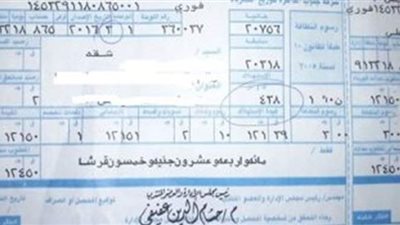 كيفية الاستعلام عن فاتورة الكهرباء لشهر نوفمبر