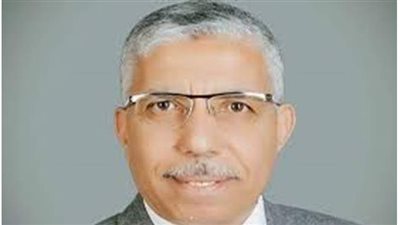 الغباشى: جولة الإعادة بانتخابات النواب لم تشهد قبولا من المواطنين لهذا السبب