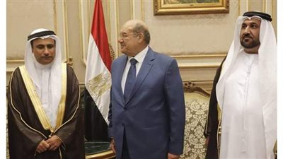 رئيس مجلس الشيوخ: سيكون هناك تعاون وثيق مع البرلمان العربي